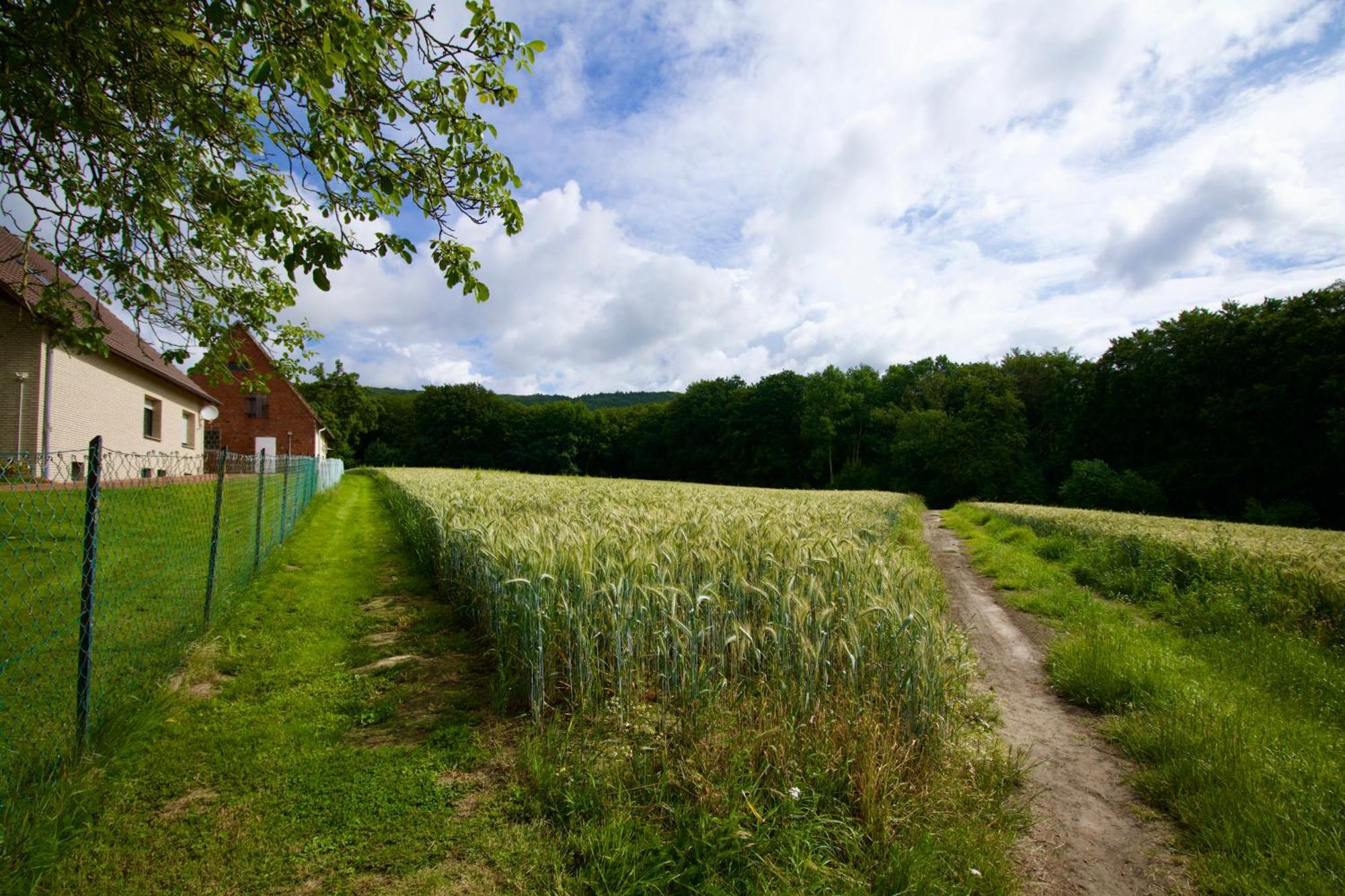 Ferienhaus Plattenberg Bad Oeynhausen Eksteriør bilde